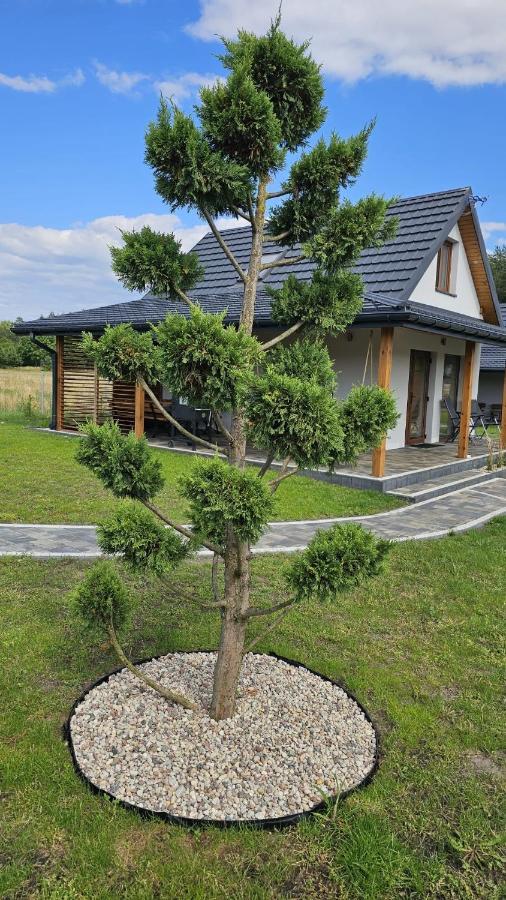 Pod Sosnami Ferienhaus *